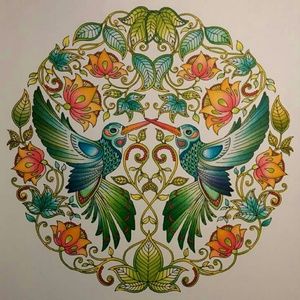 Meet your Posher, Allena