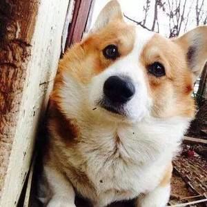 Meet your Posher, Darlene