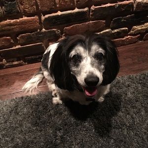 Meet your Posher, Sharon