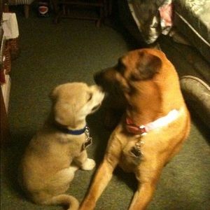 Meet your Posher, Virginia