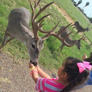 Meet your Posher, Monserrat