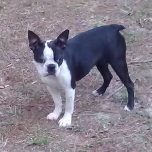 Meet your Posher, Rhonda