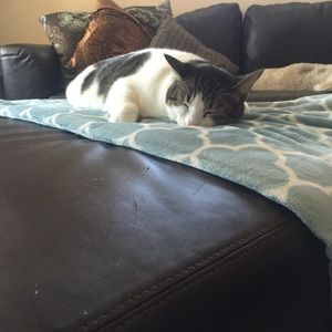 Meet your Posher, Deborah