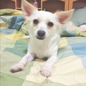 Meet your Posher, Celine