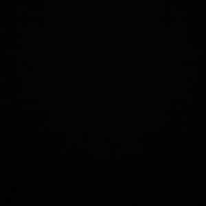 Meet your Posher, Raymond