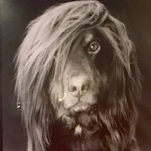 Meet your Posher, Katie - Picture 1 of 1