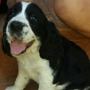 Meet your Posher, Jackie