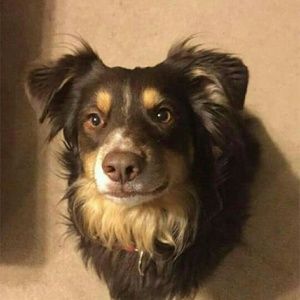 Meet your Posher, Annie