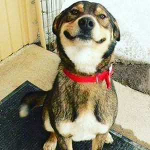 Meet your Posher, Savannah