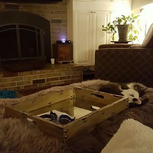 Meet your Posher, Barbara