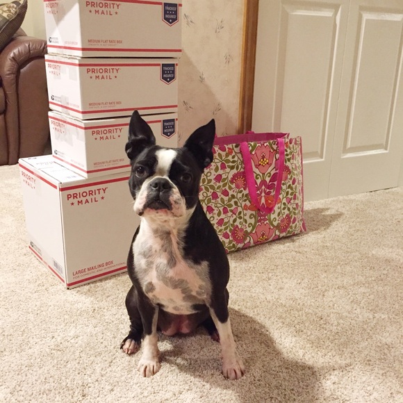 Get to know me! - Picture 4 of 4