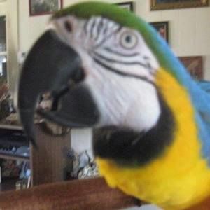 Meet your Posher, Marilyn