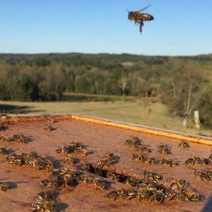 Meet your Posher, Ange