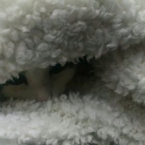 Meet your Posher, Mica