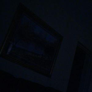 Meet your Posher, Mirna