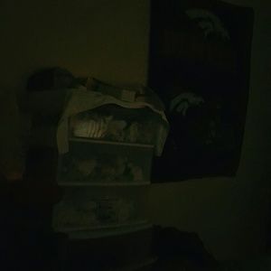 Meet your Posher, Damon