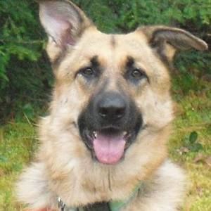 Meet your Posher, Betsy