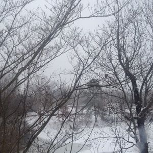 Meet your Posher, Fz