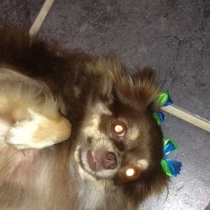 Meet your Posher, Kelly