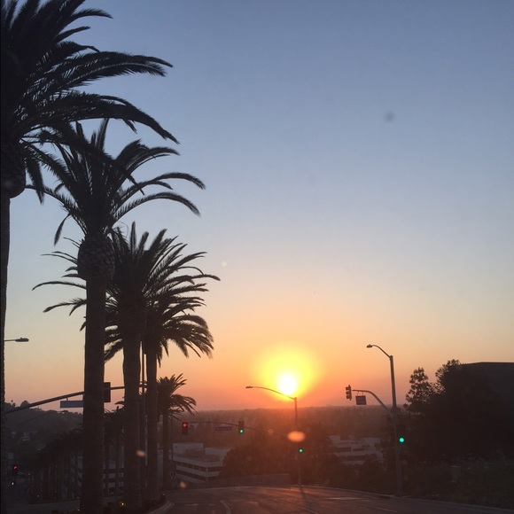 Hi, I'm Scarlet! - Picture 2 of 2