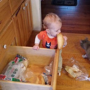 Meet your Posher, Carrie