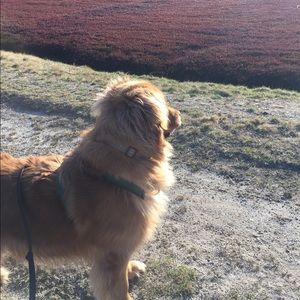 Meet your Posher, Patricia