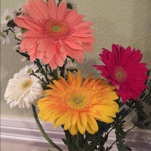 Meet your Posher, Esmeralda