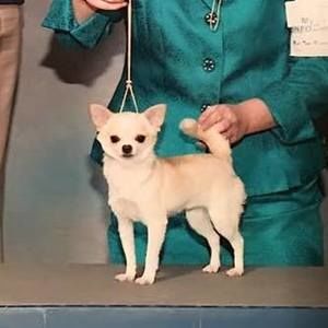 Meet your Posher, Candace