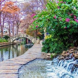 Meet your Posher, Suzanne