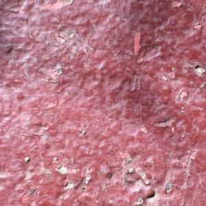 Meet your Posher, Larry