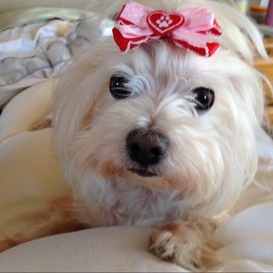 Meet your Posher, Kat