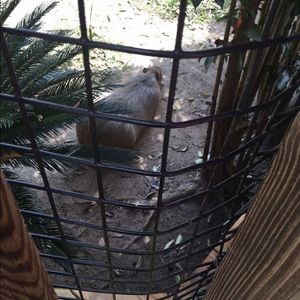 Meet your Posher, Kisha