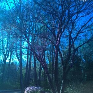 Meet your Posher, Kerryann