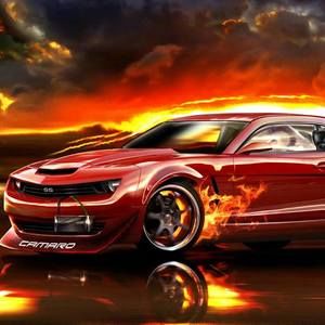 Meet your Posher, Dannys j