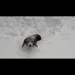 Meet your Posher, Kim