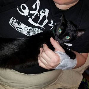 Meet your Posher, Beth