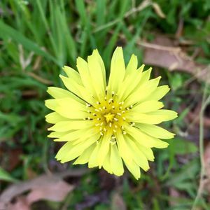 Meet your Posher, Lynn