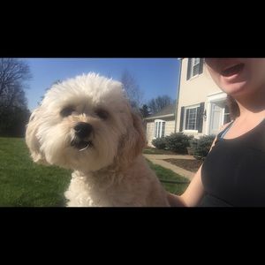 Meet your Posher, Margaret