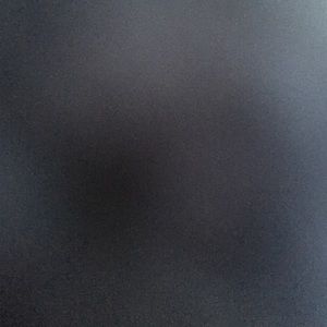 Meet your Posher, Shelby