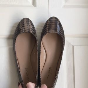 NWOT snakeskin flats