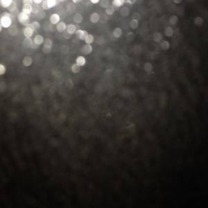 Meet your Posher, Kaylee