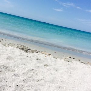 Meet your Posher, Cassidy