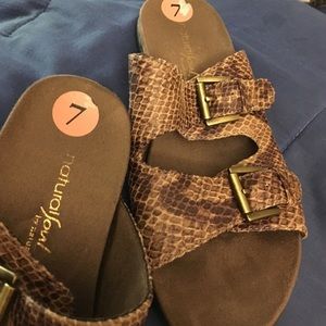 Natural Souls slides