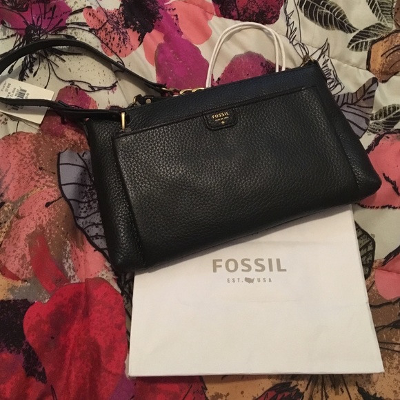 Fossil clutch