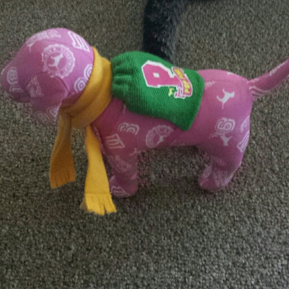 Pink Campus dog