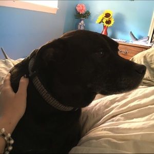 Meet your Posher, Kel