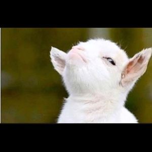 Meet your Posher, Kellie