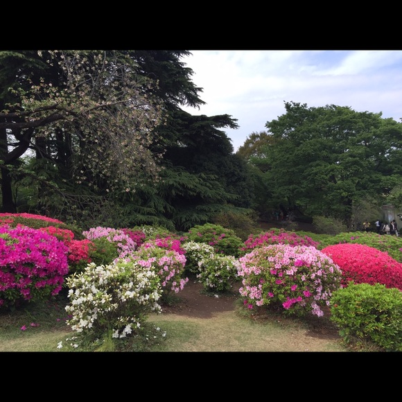 Capri and down jacket bundle