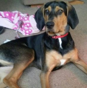 Meet your Posher, Gina