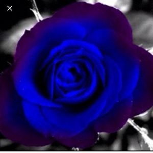 Meet your Posher, Unique